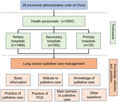 Knowledge, attitudes, and current practices toward lung cancer palliative care management in China: a national survey